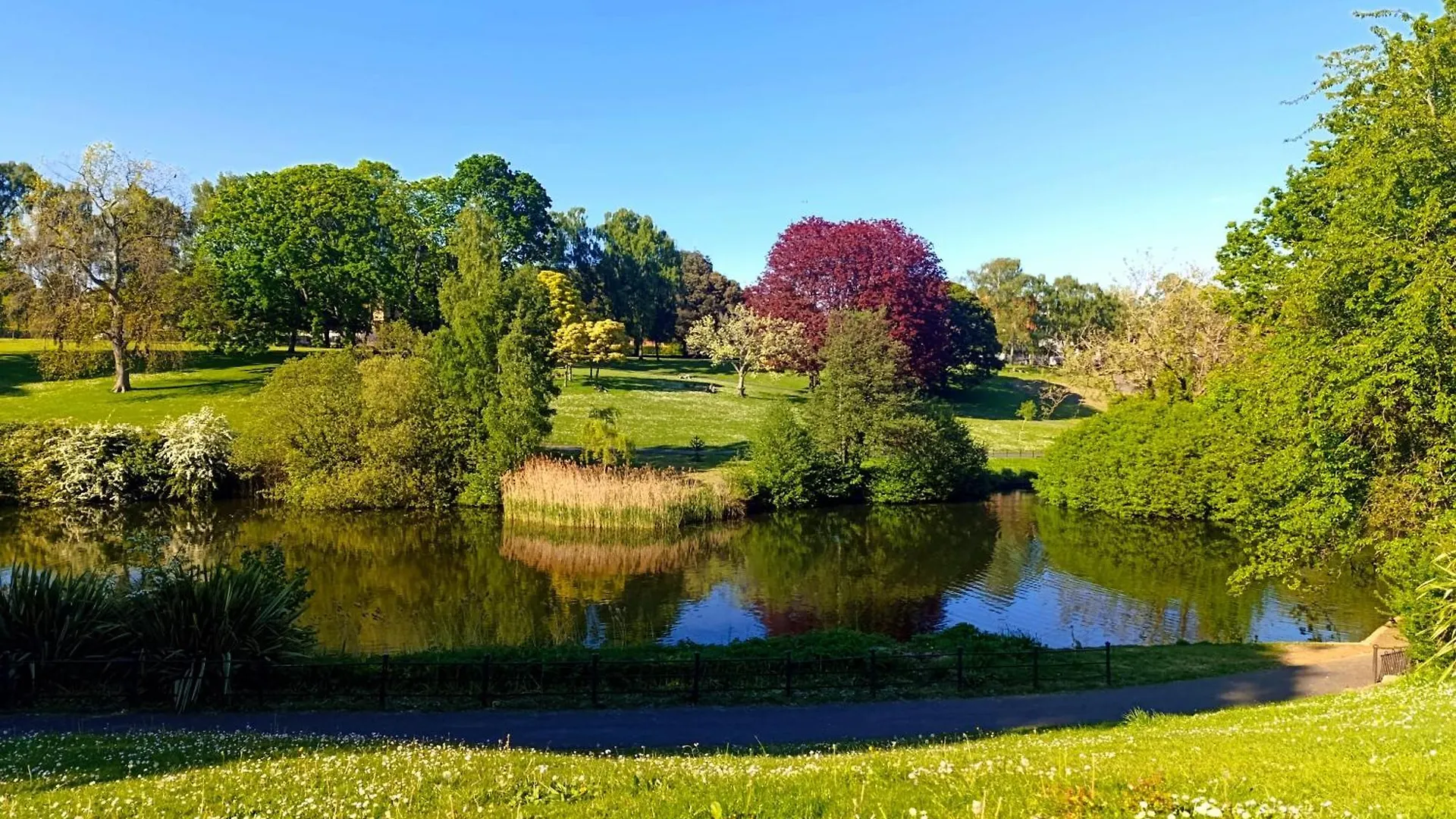 Superb Bellevue Daire Dublin