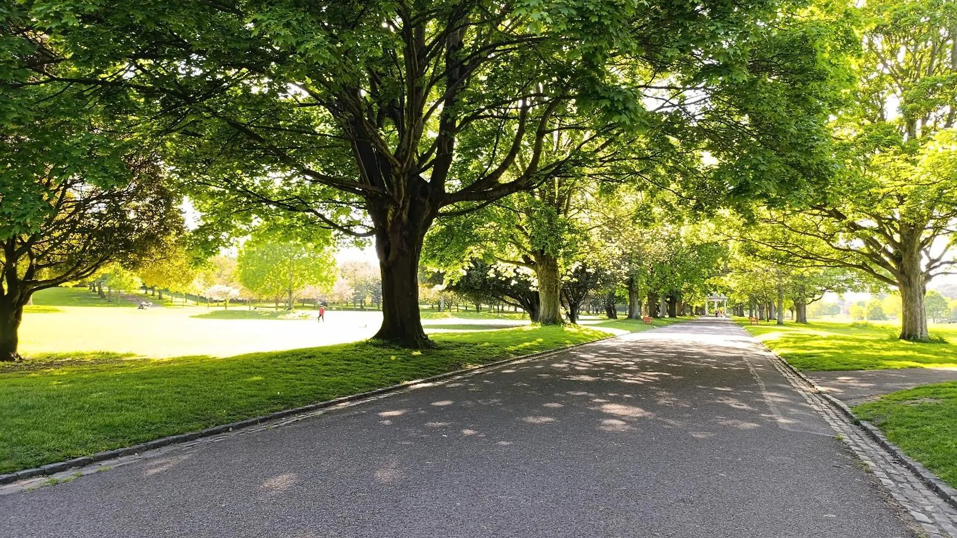 Superb Bellevue Daire Dublin